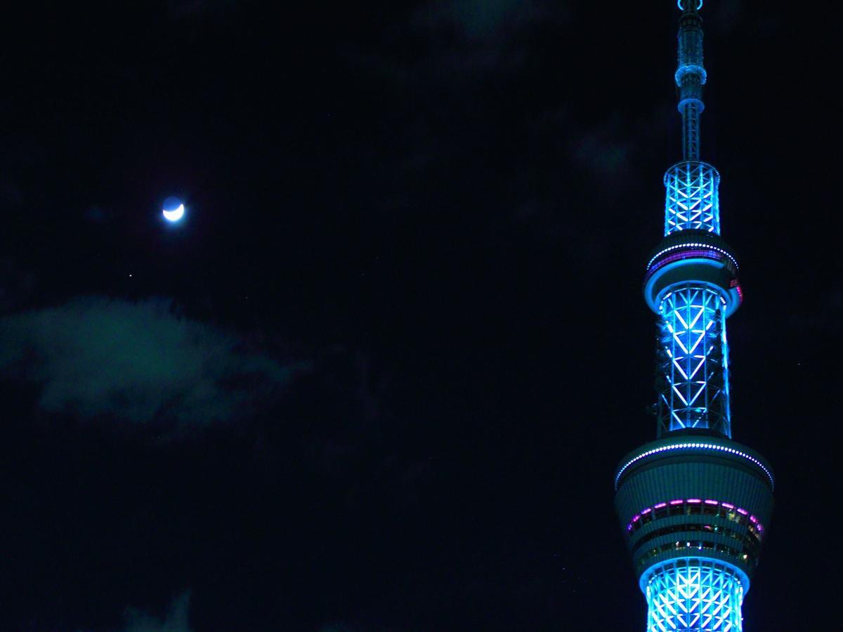 Coto東京 浅草4